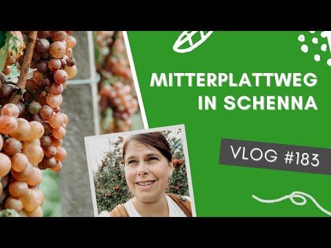 Waalwege Schenna – Ueber den Mitterplattweg zum Maiser Waalweg | VLOG #183 | SUEDTIROL 🇮🇹