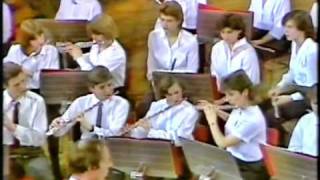 Shades of Sennett from the Pink Panther Suite (Flautissimo the Southampton Flute Orchestra)