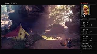 MHW初めて