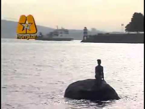 榮星國際傳播有限公司 Reflections of My Life Karaoke 卡啦ok (Honstar)