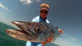 Grouper fishing Kingfish and Permit fishing videos in Boca Grande Florida
