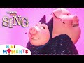Shake It Off! 💃🕺 | Rosita & Gunter Full Song | Sing  | Movie Moments | Mini Moments