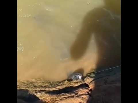 Río Paraná en las costas de Santa Lucía