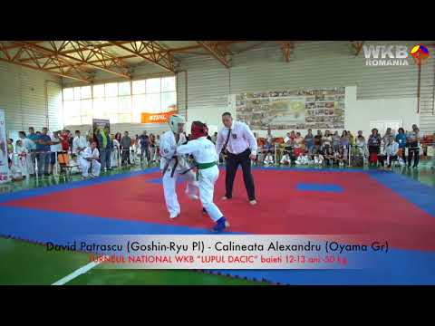 David Patrascu (Goshin-Ryu) - Calineata Alexandru (Oyama Gr)