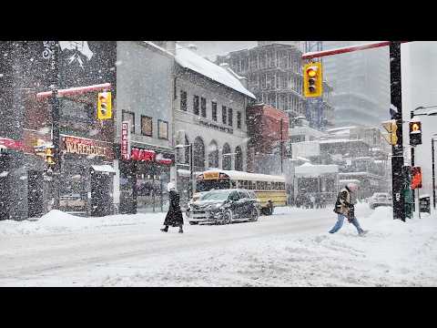 Winter Snow Storm in Toronto Canada - Boxing Day Blizzard!