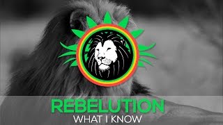 Rebelution - What I Know