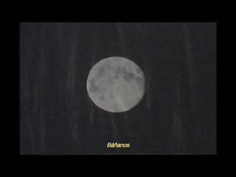 Leonora Post Punk - Luna (Lyric Video)