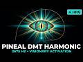 The Pineal DMT Harmonic 2675 Hz Spontaneous Visionary Activation 4 Hours