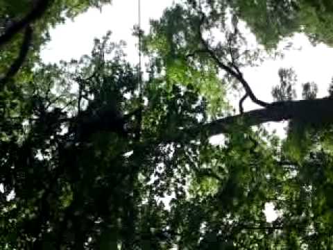 highline herrngarten