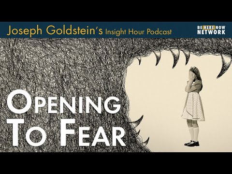 Joseph Goldstein on Opening to Fear - Insight Hour Ep. 166