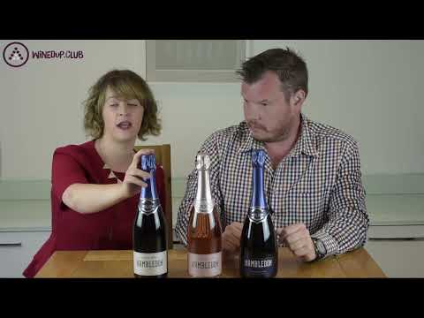 An Introduction to Hambledon Vineyard