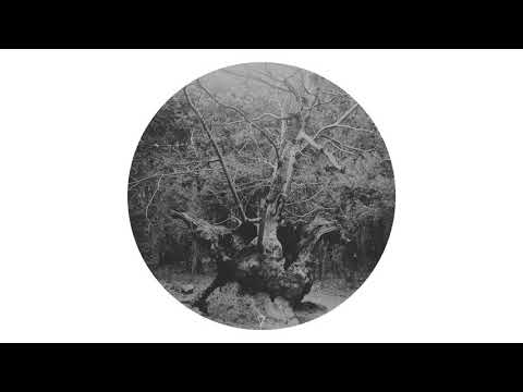 Marat Mode - Pedraroja