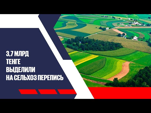 Считать будут всё: в Казахстане начинается сельхозперепись