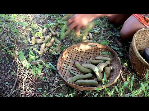 Survival skills: Find green tamarind in the forest for food #2 - Tamarind food eating delicious Video