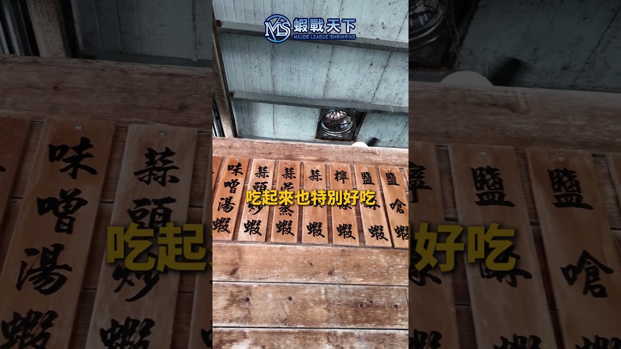 今天這間蝦場EP.18【MLS蝦戰天下】#17shrimp #台湾のエビ釣り #shrimpfishing #새우낚시