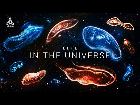 Life in the Universe. A Journey into Deep Space