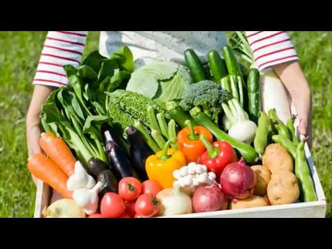 BioGrow Plus биоактиватор роста растений и рассады и перчатка Garden genie в подарок (147 руб) 2020