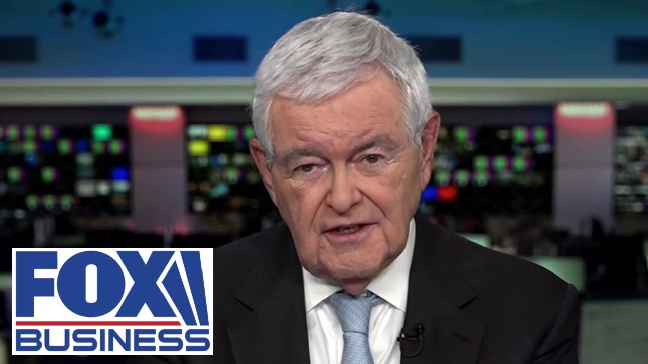 Newt Gingrich: This is CRAZY