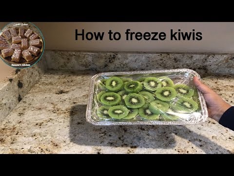 download lagu mp3 mp4 Can You Freeze Kiwi, download lagu Can You Freeze Kiwi gratis, unduh video klip Can You Freeze Kiwi