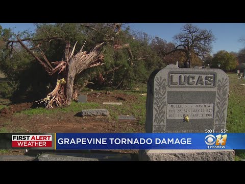 Trees snapped in half and piles of debris: Grapevine recovers from tornado damage