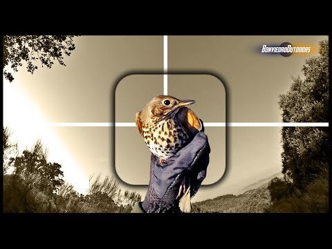 ZORZALES para entrar en CALOR ¡Así se derrite el HIELO!