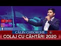 CALINUT COLAJ DE CANTARI