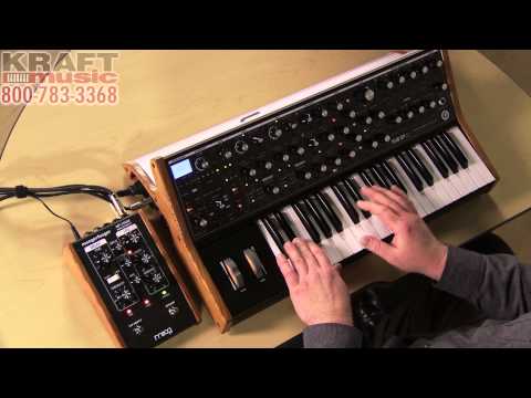 Kraft Music - Moog Sub 37 Analog Synthesizer Demo