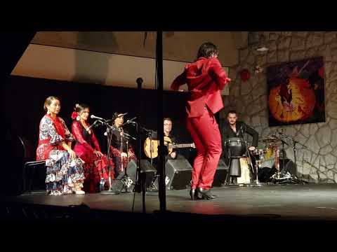 Tarantos - con Ivan Vargas