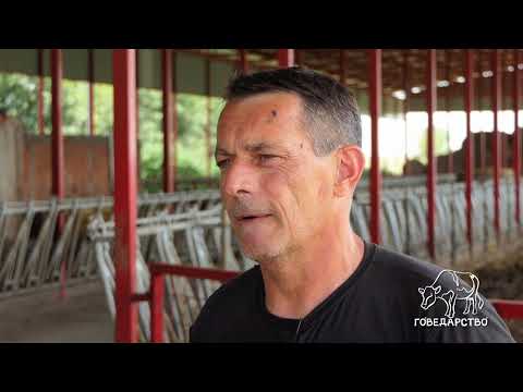 Govedarstvo ep. 18 17.07.2023. Uzgoj crvene angus rase goveda