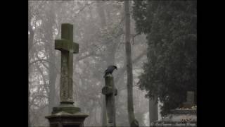 tristitia(sweden)- envy the dead(1996)