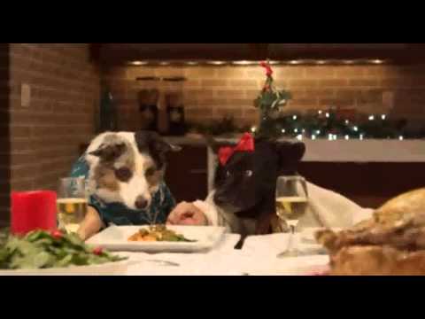 Freshpet Holiday Feast - 13 Dogs and 1 Cat Eating with Human Hands - Freshpet