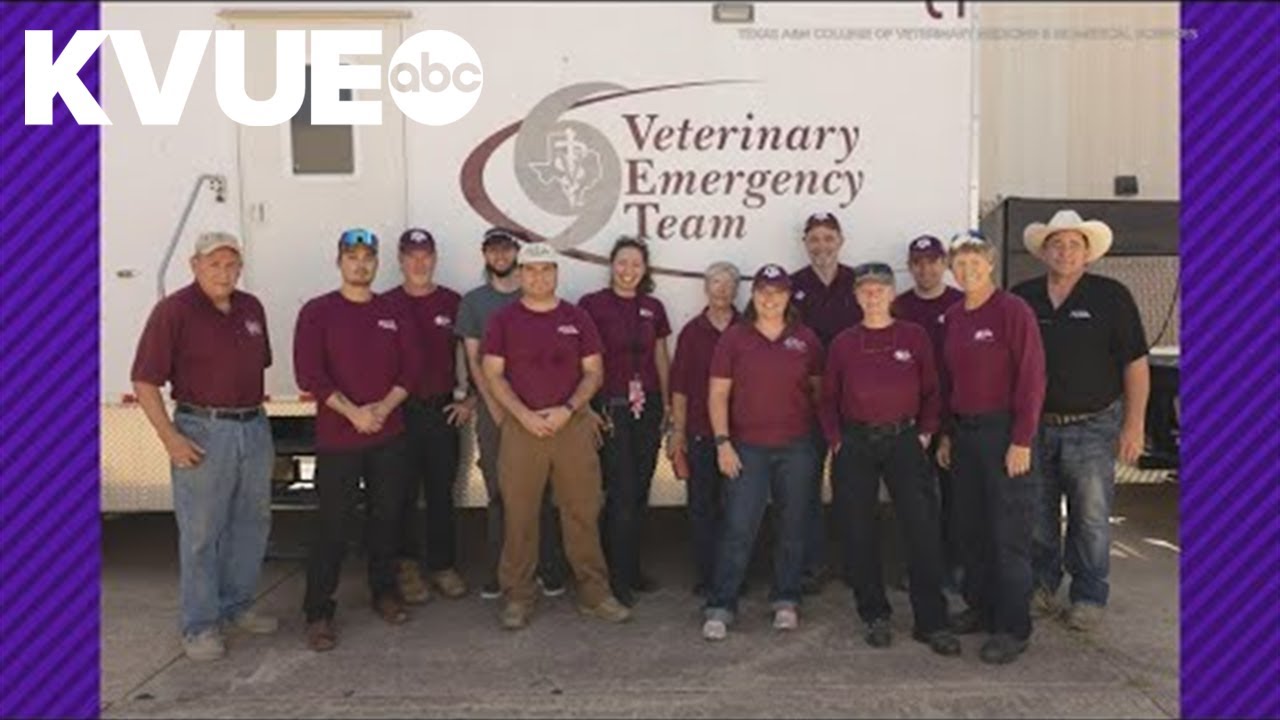 Helene aftermath: Texas A&M Veterinary Emergency Team in North Carolina