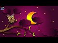 Relaxing Mozart For Babies 3 Hours Brain Development Lullaby Baby Music Mozart Effect
