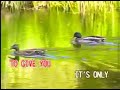 11 When I Need You Celine Dion