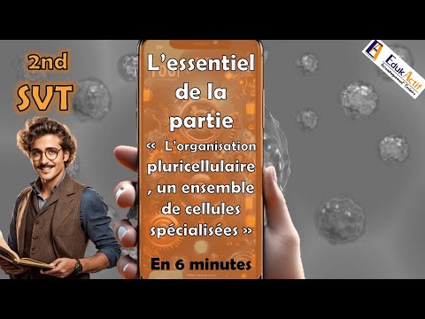 L'essentiel en 6 minutes L’organisation pluricellulaire, un ensemble de cellules spécialisées #svt