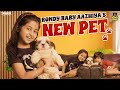 Rowdy Baby Aazhiya S New Pet RowdyBabyTamil Tamada Media