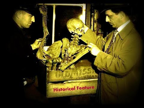 The Collyer Brothers - The Hoarders Nest - Narrated Version - Fickle Fate Series