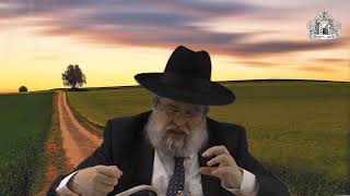 דף היומי בחצי שעה - ברכות דף נ"ו