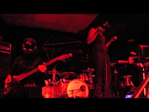 download lagu mp3 mp4 A Band Of Crickets, download lagu A Band Of Crickets gratis, unduh video klip A Band Of Crickets