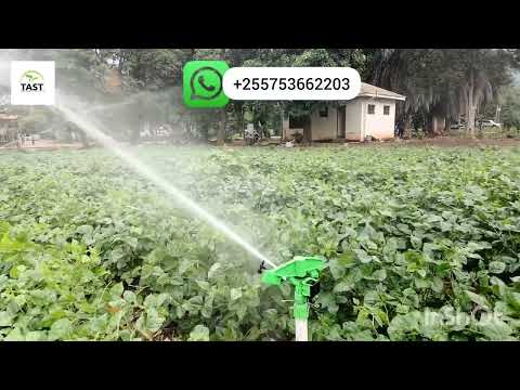 KILIMO Cha umwagiliaji Maharage #farming #kilimo #farmer #agriculture #irrigation #tz #agribusiness