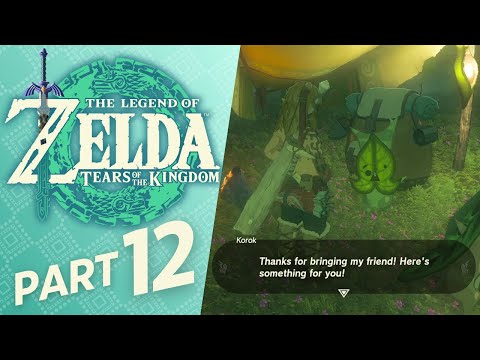 👑 The Legend of Zelda: Tears of the Kingdom | Part 12 [No Commentary | Chill Gameplay]
