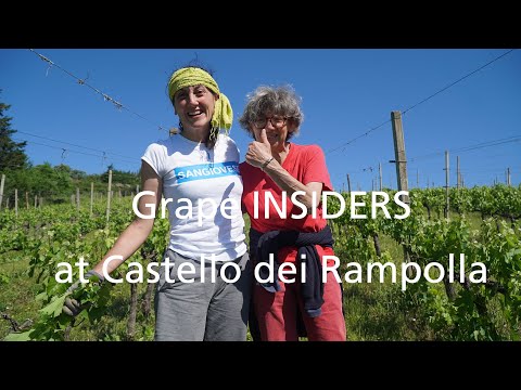 Grape INSIDERS: Castello dei Rampolla in Chianti Classico