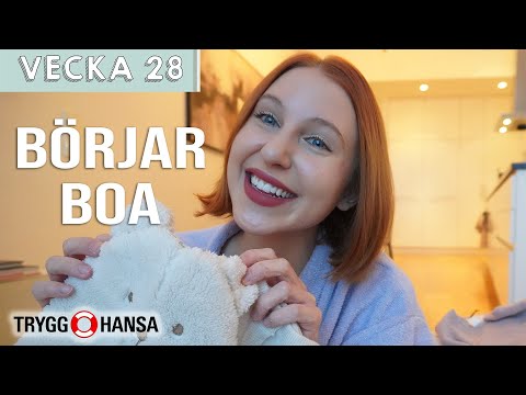 DAGS ATT BOA – Molly Rosenström v28