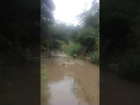 ..... zacualpa Quiche Guatemala..... saludos cordiales..........