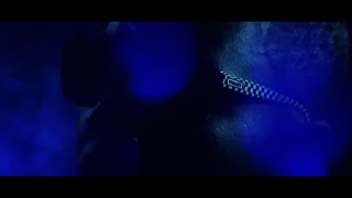 Young Dolph, Gucci Mane, Future - Trap Talk (Music Video)