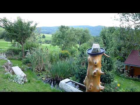 Ferienwohnungen Schwarzwald: Sommerferien mit Gartenanlage