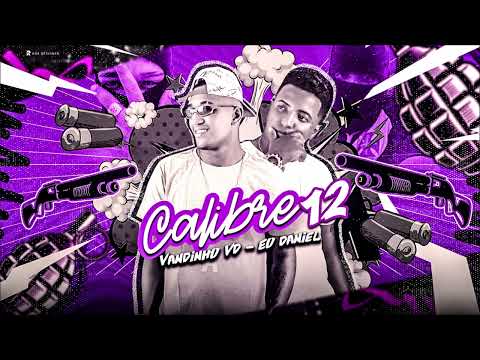 PEGADA BRUTA / CALIBRE 12 - VANDINHO VD E DANIEL -  MÚSICA NOVA 2024
