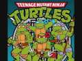Teenage Mutant Ninja Turtles Theme 