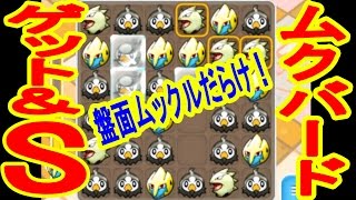 ムックル入れたら爽快 215 ムクバード Get S ポケとる実況 تنزيل الموسيقى Mp3 مجانا