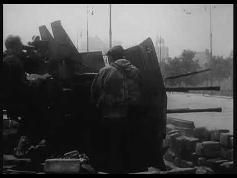 Wehrmacht 2 cm Flakvierling 38 Erdkampf Einsatz Warschau 1944 seltene Aufnahmen WK.2